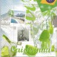 Dekorszalvéta - Caipirinha