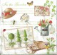 Dekorszalvéta - Gardening