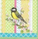 Dekorszalvéta - Colorful Bird