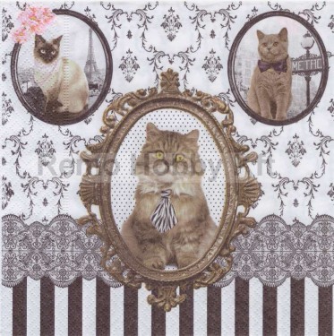 Dekorszalvéta - Barocco Cats
