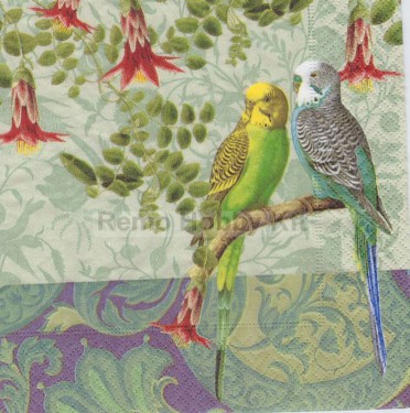 Dekorszalvéta - Budgies