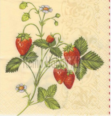 Dekorszalvéta - Szamóca