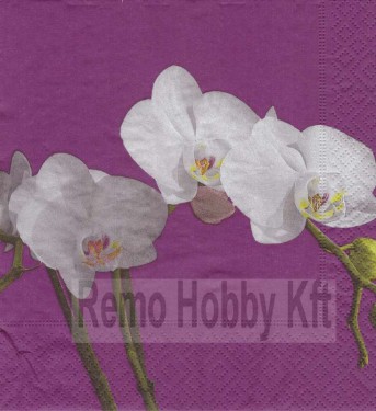 Dekorszalvéta - Butterfly Orchid