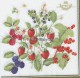 Dekorszalvéta - Berries