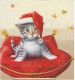 Dekorszalvéta - Santa Cat 2