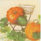 Dekorszalvéta - Best of Show Cream
