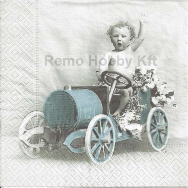 Dekorszalvéta - Boy in Car