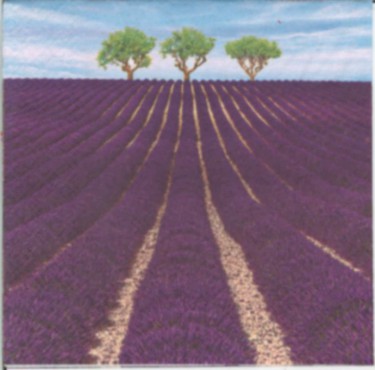Dekorszalvéta - Lavender Farm