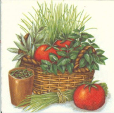 Dekorszalvéta - Tomato