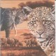 Dekorszalvéta - Safari Collage