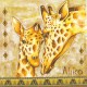 Dekorszalvéta - Afrika 1