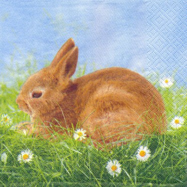 Dekorszalvéta - Bunny with White Flowers