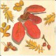 Dekorszalvéta - Autumn Leaves