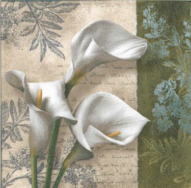 Dekorszalvéta - White Beauties