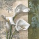 Dekorszalvéta - White Beauties
