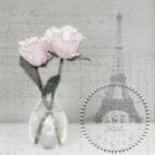 Dekroszalvéta - 2 Roses Paris