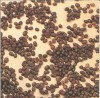 Dekorszalvéta - Fresh Roasted Coffe