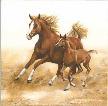 Dekorszalvéta - Mare with Foal