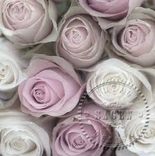 Dekorszalvéta - Pink Roses, zsúr