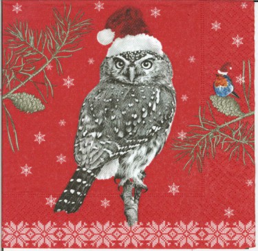Dekorszalvéta - Robin and Owl