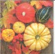 Dekorszalvéta - Pumpkin Collection