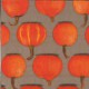 Dekorszalvéta - Pumpkin Party Grey