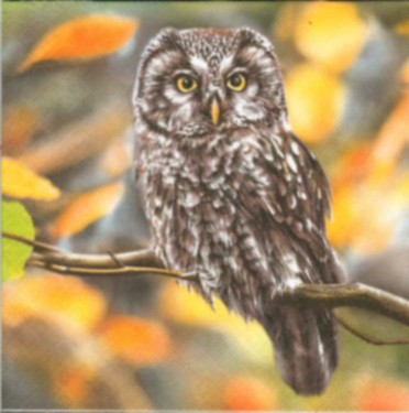 Dekorszalvéta - Pensive Owl