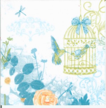 Dekorszalvéta - Bird Cage