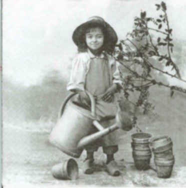 Dekorszalvéta - Garden Girl