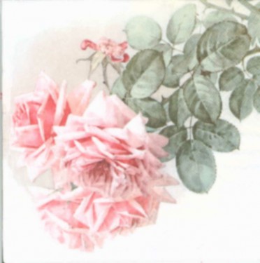 Dekorszalvéta - Summer Roses