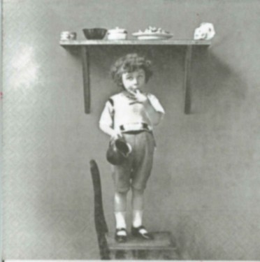 Dekorszalvéta - Boy Tasting