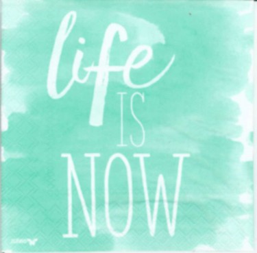 Dekorszalvéta - Life