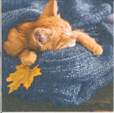 Dekorszalvéta - Autumn cat (zsúr)