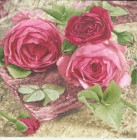 Dekorszalvéta - Sentimental Roses