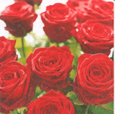 Dekorszalvéta - Splendid Roses