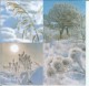 Dekorszalvéta - A Winter Day