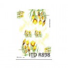 Rizspapír - ITD R898