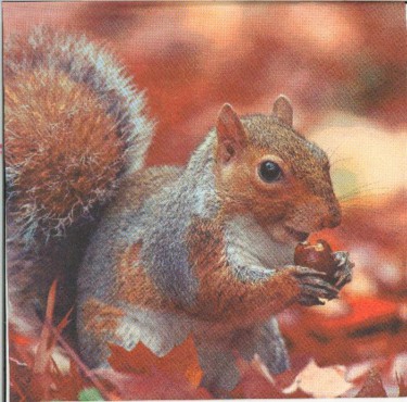 Dekorszalvéta - Squirrel at Autumn