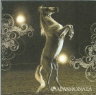 Dekorszalvéta - White Horse Show