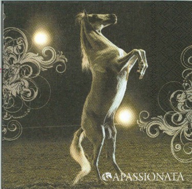 Dekorszalvéta - White Horse Show