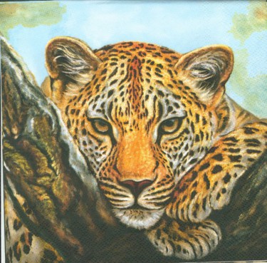 Dekorszalvéta - Leopard Look