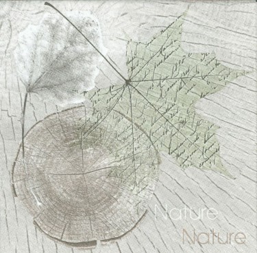 Dekorszalvéta - Sentimental Nature