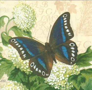 Dekorszalvéta - Butterfly Summer, Cream