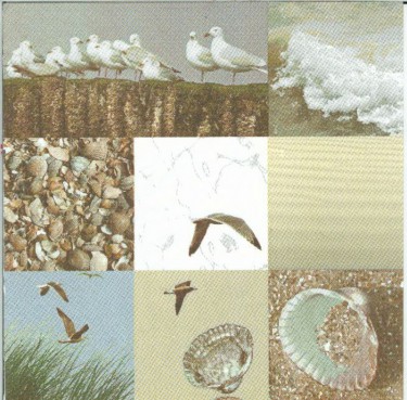 Dekorszalvéta - The Seaside
