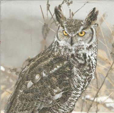 Dekorszalvéta - Winter Owl