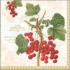 Dekorszalvéta - Jardin D'hiver
