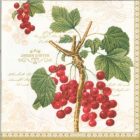 Dekorszalvéta - Jardin D'hiver