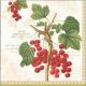 Dekorszalvéta - Jardin D'hiver