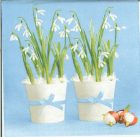 Dekorszalvéta - Snowdrops in Flowerpots