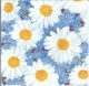 Dekorszalvéta - Daisies Forget Me Nots
